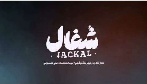 Shoghal Series